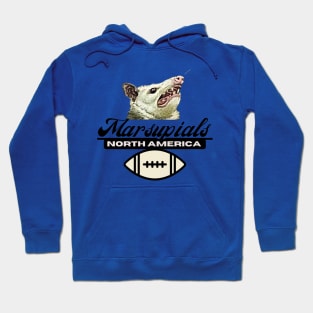 Possums! Hoodie